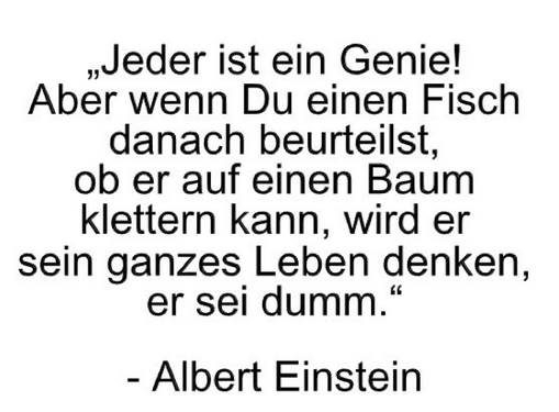 Zitat Fur Den Albert Einstein Geben Leben I Vitamine Fur Kopf Seele